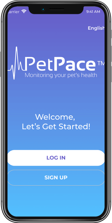 PetPace – Zangula